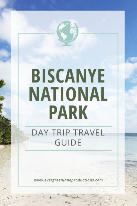 Travel ideas Biscayne National Park by Annabelle Needles video editor