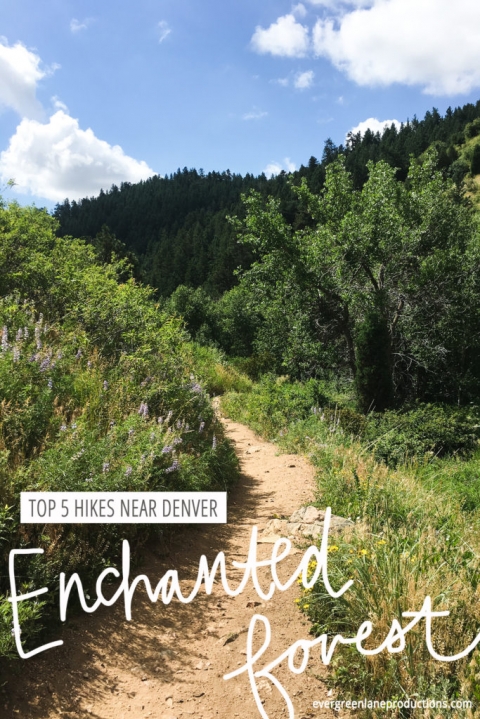Hikes Near Denver - Enchanted Forest - Travel Guide by Evergreen Lane Productions
